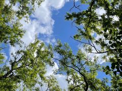 -阳台山自然风景区