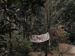 -凤栖山