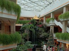 -广州白天鹅宾馆