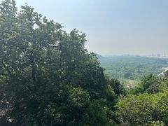 -狼山风景名胜区