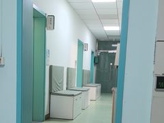 -北京观赏动物医院·24小时大型综合·猫专科·异宠专科