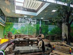 -灵玲国际马戏城
