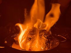 -Hi City·城市之巅