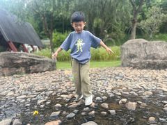 -神光山国家森林公园