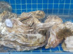 -宾朋海鲜饭庄(兴海路店)