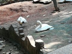 -燕塞湖鸟语林景区