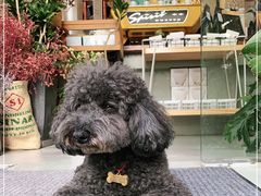 -唐咖精品咖啡(大理古城手冲店)