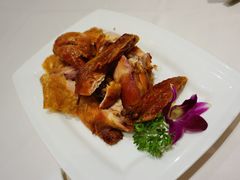 -凯鸽酒楼(大同振兴街店)