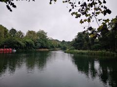 -花溪公园
