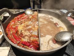 -大龙燚·旷野鲜火锅(广州首店)