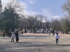 -乌素图国家森林公园