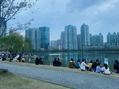 -西北湖绿化广场