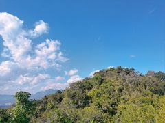 -中国科学院西双版纳热带植物园