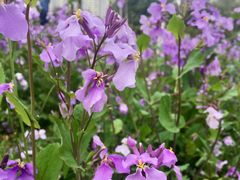 -白塘生态植物园