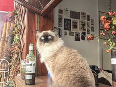 -梧桐巷咖啡厅·coffee&bar