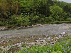 -鹿院坪生态旅游景区