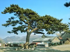 -妙峰山风景名胜区