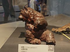 -北京周口店北京人遗址博物馆