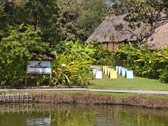 -大象粑粑造纸公园