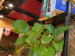 -管氏翅吧(护国寺店)