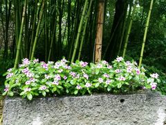 -竹泉村旅游度假区