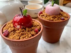 -哈根达斯(皇庭店)