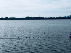 -人民防洪胜利纪念塔