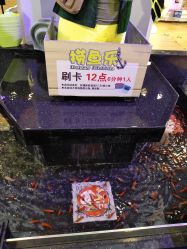 -卡通尼乐园(五彩世界店)