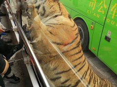 -西安秦岭野生动物园