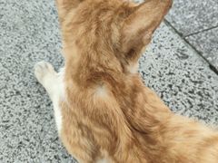-烈士陵园(地铁站)