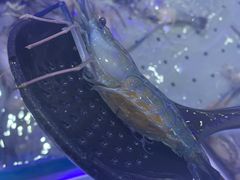 -澜悦港海鲜体验主题餐厅
