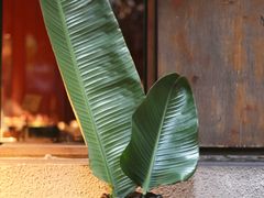 -都氏家DUSJOY(翡翠城店)