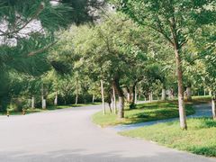 -长白岛森林公园