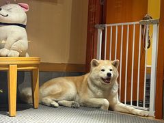 -大江户·温泉洗浴(浑南店)