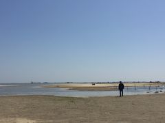 -北海金海湾红树林生态旅游区