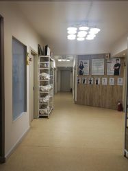 -韩国淼美颜皮肤管理官方直营店