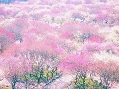 -大七孔景区-天生桥