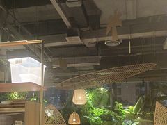 -大头椰·椰子鸡火锅(南宁万象城店)