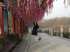 -西安汉城湖景区