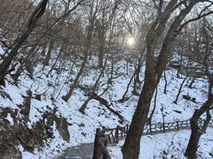 -终南山南五台景区