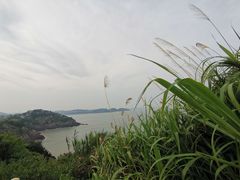 -东沙渔村
