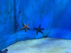 -太平洋海底世界