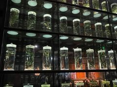 -广东中医药博物馆