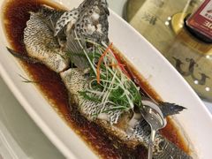 -骏莱海鲜鱼港(五角场店)