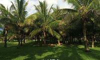 -白沙门生态公园