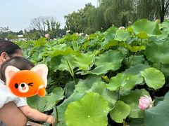 -陶辛水韵