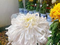 -杭州植物园