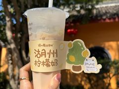 -猫的魔法密林(衣裳街店)