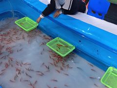 -苏州海洋馆
