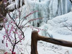 -黑龙潭风景区